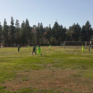 Meet your Posher, Nely